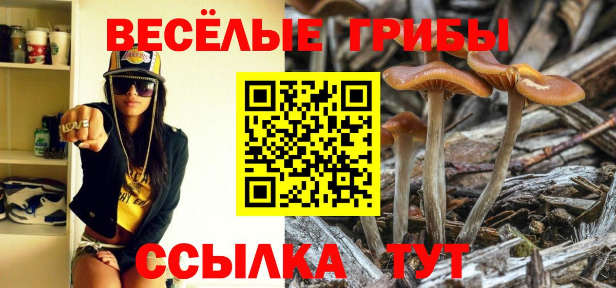 Галлюциногенные грибы ЛСД  Вход с VPN  Казань 